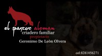 /album/fotogaleria/tarjeta-de-presentaci%c3%b2n-02-copia-jpg/